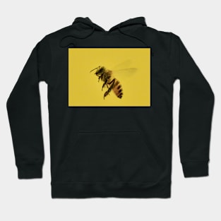 Bee In Flight Artwork Hoodie